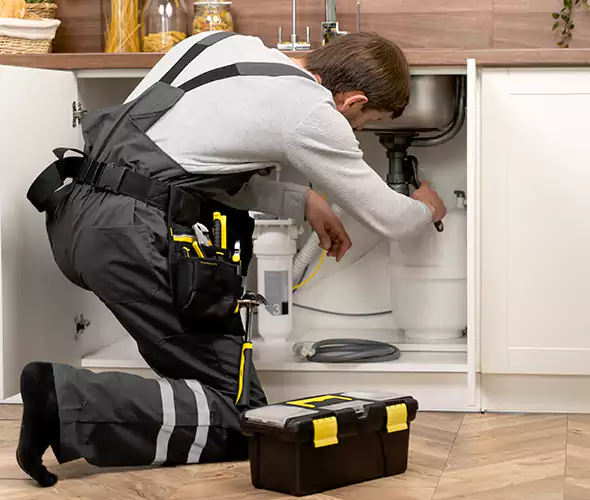 Certified Plumbers for Insinkerator Installation in Helena
