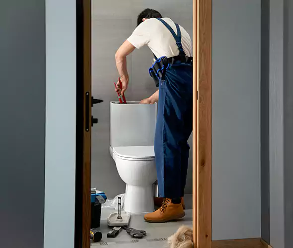 Professional Plumbers for Toilet Bowl Replacement in Helena, AL: Schedule Affordable Toilet Replacement Services With Us