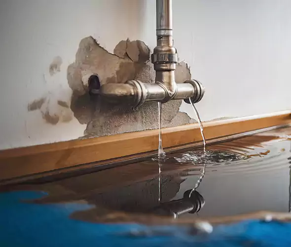Professional Water Damage Restoration Experts in Helena, AL — Fast, Reliable & Certified