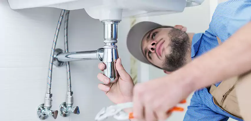 Leak Detection in Helena